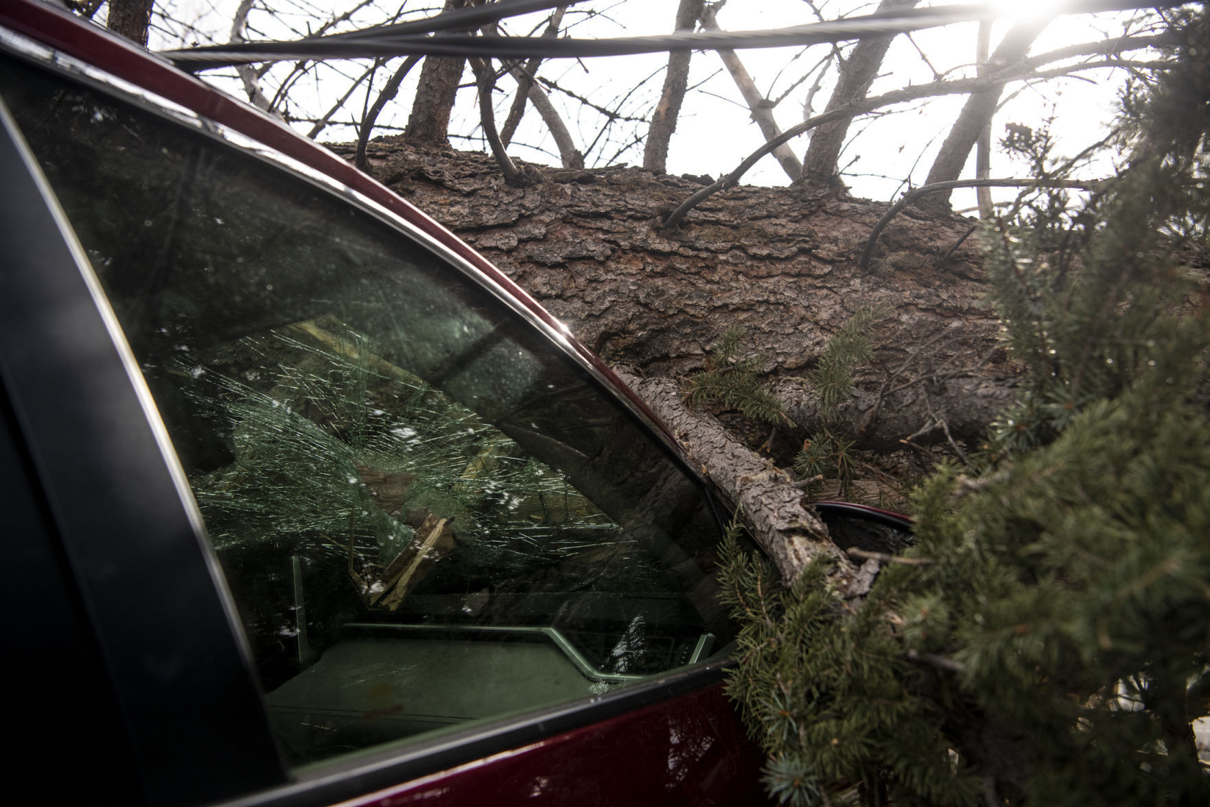 Wind storm in Missoula 08